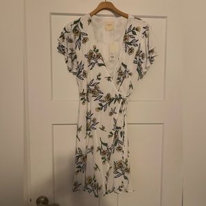 Francesca’s Large Floral Wrap Dress